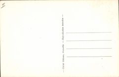 Vintage Postcard Electricity Stopping of Chambon