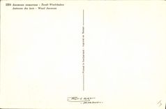 Vintage Postcard Fantasy Flowers Anemone of wood