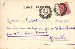 Vintage Postcard Woman Swallows