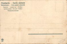 CPA Hirondelles 