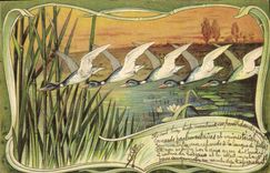 CPA Canards 