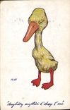 Vintage Postcard Duck