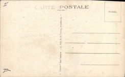 Vintage Postcard Nest of storks in Alsace