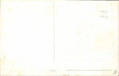 Vintage Postcard Ducks Ducklings