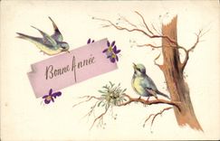 CPA Oiseaux 