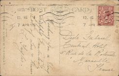 Vintage Postcard Easter A friendly Easter cat