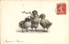 Vintage Postcard Ducks Easter Ducklings
