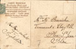 CPA Oiseaux 