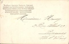 Vintage Postcard Swans