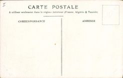 Vintage Postcard Chick Flowers Sailor Bayard