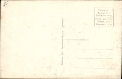 Vintage Postcard Switzerland Neuchâtel Lake gulls