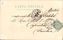 CPA Oiseaux 