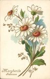 Vintage Postcard Fantasy Margherite Flowers