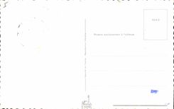 MAXIMUM CHART Hungary Fantasy Flowers