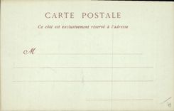 Vintage Postcard Fantaisie Flowers Connects eucalyptus in flowers