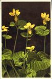 Vintage Postcard Fantasy Flowers yellow Violet