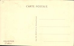 Vintage Postcard Birds Alsace Nest of storks