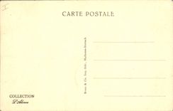 CPA Oiseaux Alsace Nid de cigognes