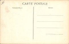 CPA Oiseaux Une famille en villegiature Oies