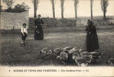 Vintage Postcard Pyrenees Birds gardeuse of geese Folklore