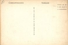 Vintage Postcard Pyrenees Birds gardeuse of geese Folklore