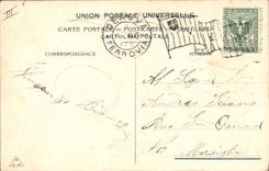 Vintage Postcard Birds Dog Dogs Eggs