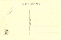 Vintage Postcard Birds Paris international colonial Exposure 1931 Zoological gardens Flamingos