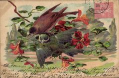 CPA Oiseaux 