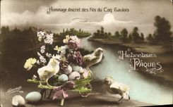 CPA Oiseaux Poussins Paques