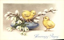 CPA Oiseaux Poussins Paques