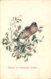 CPA Oiseaux 