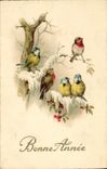 CPA Oiseaux 