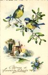 CPA Oiseaux 