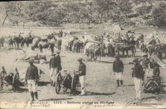 Vintage Postcard Militaria Alpine hunters alpine Battery with the bivouac