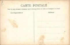 CPA Mardi Gras d'oiseaux Villemer Delormel Vargues Del 