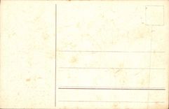 Vintage Postcard Fantasy Flowers Cock Easter Hen