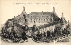 Vintage Postcard St Fargeau the castle has flight of bird