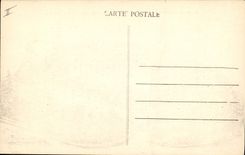 Vintage Postcard St Fargeau the castle has flight of bird