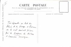 Vintage Postcard the gray wagtail