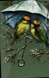 CPA Oiseaux 