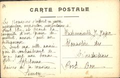 Vintage Postcard Chicks (drawing has the hand) Alpinism