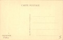 CPA Alsace Nid de cigognes 