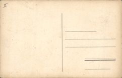 Vintage Postcard a nest of storks