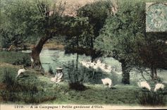 Vintage Postcard In the gardeuse Small goose countryside
