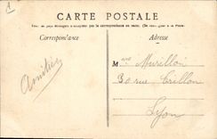 Vintage Postcard In the gardeuse Small goose countryside