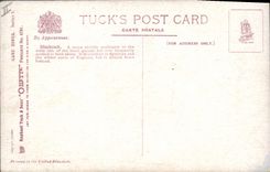 Vintage Postcard Blackcock Pigeon