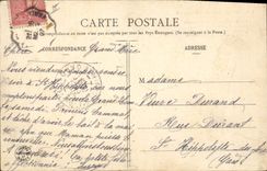 Vintage Postcard the charming lady of Birds