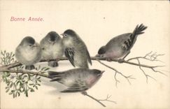 CPA Oiseaux 