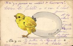 Vintage Postcard Chick Egg