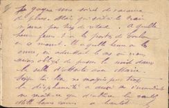 Vintage Postcard Chick Egg